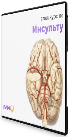постер к [Medforyou] Спецкурс по инсульту (2025) WEBRip