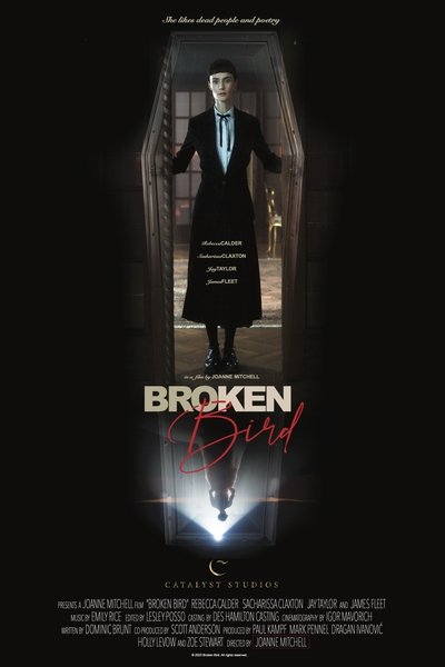 92a914a0fa650662558aa6a0fa78a1d2 - Broken Bird (2024) 720p WEBRip-LAMA