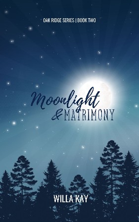 Cover: moonlight pRayer: Lebensnahe Impulstexte im Wortgottesdienst - Hornstein, Erich