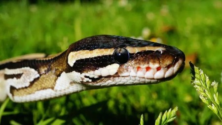 [Image: c2829b6312a2f7e14c4029eadcfd0e87.jpg]