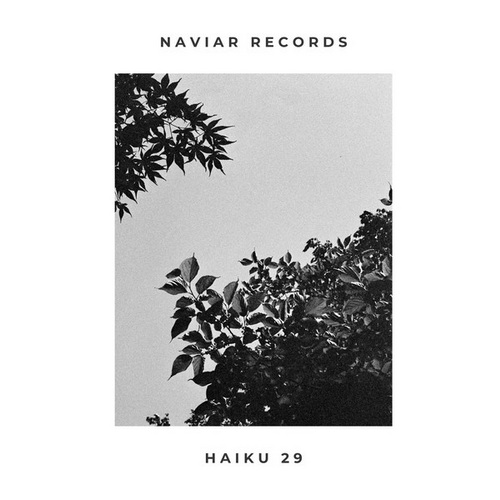 Naviar Haiku 29 (2025) FLAC