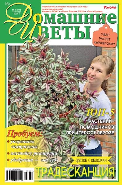Домашние цветы №9 2025