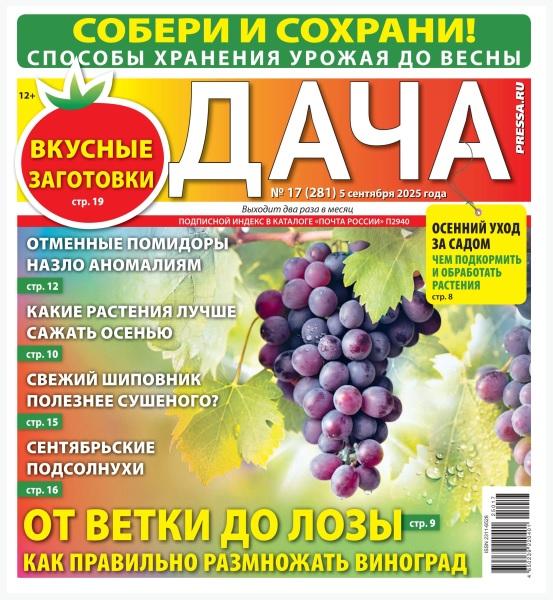 Дача №17 сентябрь 2025