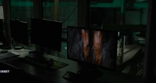  (2024)