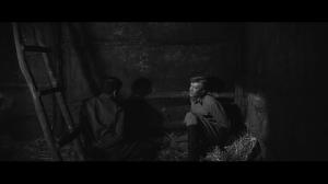 Щит и меч (1968) BDRip 720p, BD-Remux, Blu-Ray RUS, 4K SDR WEB-DL 2160p