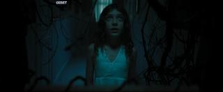 .   (2025)