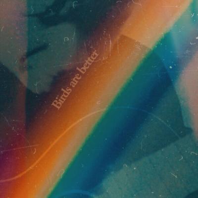 Birds are better - Birds Are Better (2025) [FLAC 24B-48kHz]