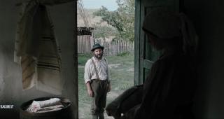   (2024)