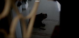 Ÿ   (2024)
