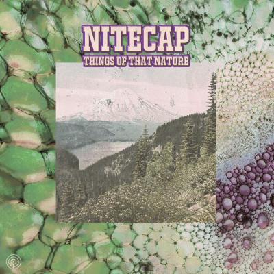 Nitecap - Things of That Nature (2025) [FLAC 24B-48kHz]