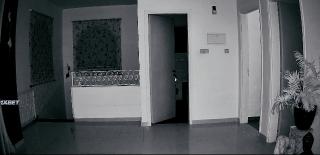 Ÿ   (2024)
