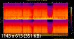 07. Rebelski - The Sirens (Tim Green Remix).flac.Spectrogram.png