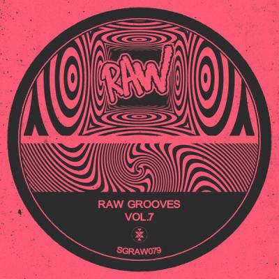 Various Artists - Raw Grooves, Vol.7 (2025) [FLAC 16B-44.1kHz]