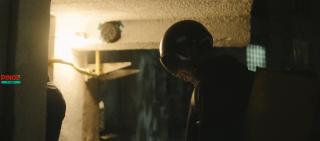 .   (2024)
