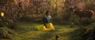  / Snow White (2025/WEB-DL/WEB-DLRip)