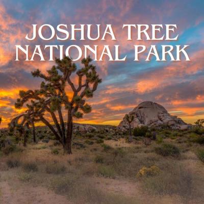 Various Artists - Joshua Tree National Park - California Road Trip Songs (2025) [FLAC 16B-44.1kHz]