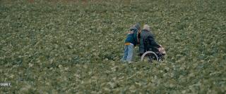  (2024)