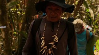 40    (2024)