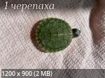 IMG_7751.png