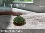 IMG_7753.png