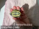 IMG_7755.png