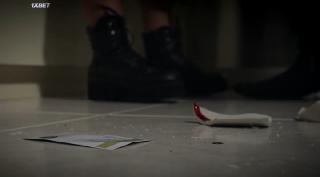  (2024)