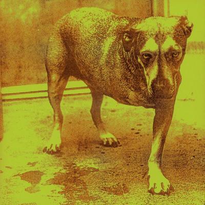 Alice In Chains - Alice In Chains (1993) [FLAC 16B-44.1kHz]