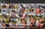 Lara Latex - Catch of the day - Part 1
