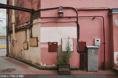 091_4lN-crA-vDY.jpg