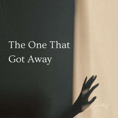 Jessi Collins - The One That Got Away (2025) [FLAC 24B-44.1kHz]