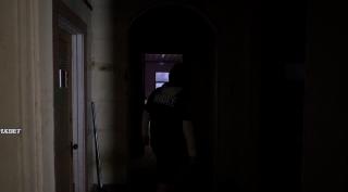   .  (2025)