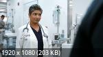   (1 /2025/WEB-DL/720p/1080p)