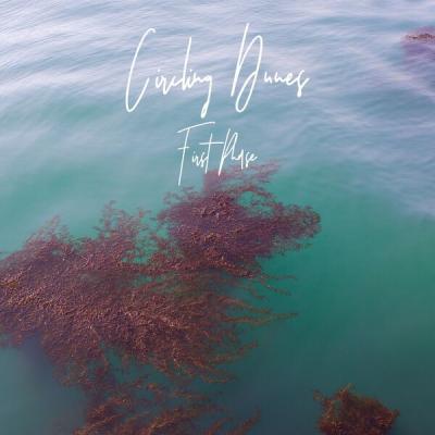 Circling Dunes - First Phase (2025) [FLAC 16B-44.1kHz]