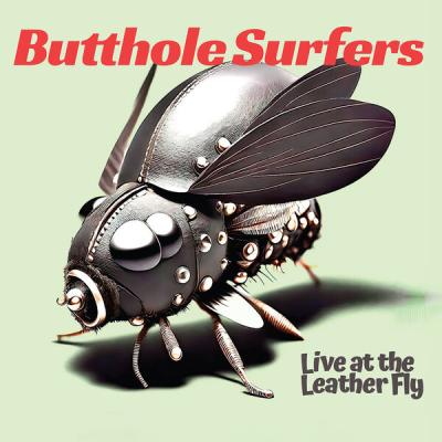 Butthole Surfers - Live at the Leather Fly (2025) [FLAC 24B-88.2kHz]