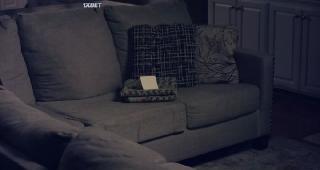  (2024)