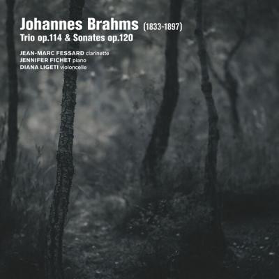 Jean-Marc Fessard - Brahms Trio Op. 114, Sonates Op. 120 (2025) [FLAC 24B-96kHz]