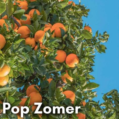 Various Artists - Pop Zomer (2025) [FLAC 16B-44.1kHz]