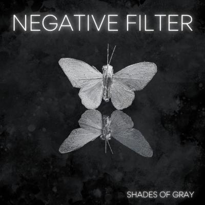 Negative Filter - Shades of Grey (Single) (2022)