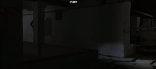    (2024)
