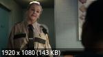    (4 /2025/WEB-DL/720p/1080p)