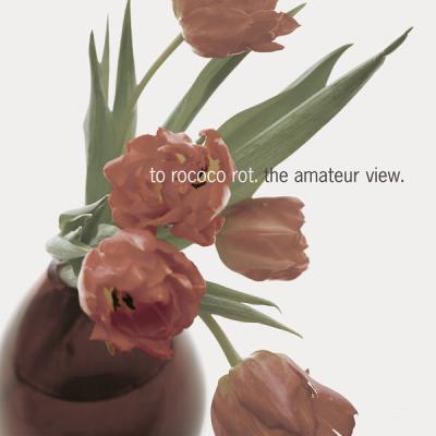 To Rococo Rot - The Amateur View (Expanded Edition 2025) (1999) [FLAC 16B-44.1kHz]