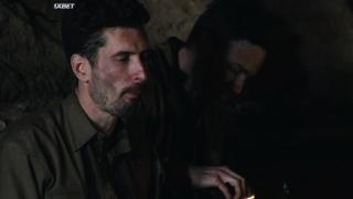 Утренняя Заря (2023)