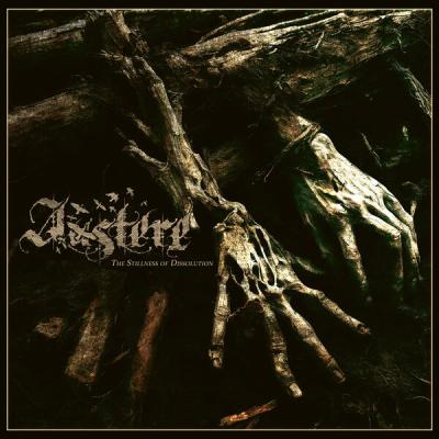 Austere - The Stillness of Dissolution (2025) [FLAC 24B-48kHz]