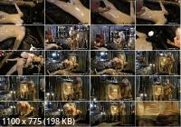 Rubber-Empire - Madame Gillette : 2 Rubbertoys To Play : Pt2 (SD/360p/151 MB)