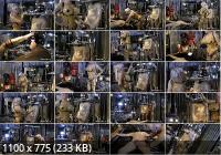 Rubber-Empire - Madame Gillette : 2 Rubbertoys To Play : Pt1 (SD/360p/162 MB)