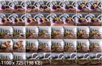 PerVRt - Alecia Fox : Collared (UltraHD/4K/2160p/4.96 GB)