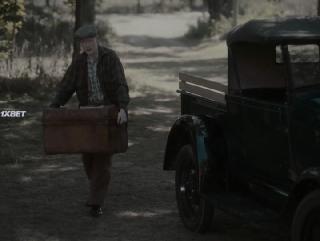   (2024)