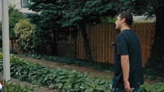   (2024)