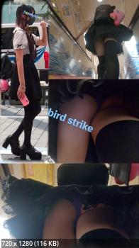 パンチラ天国 vol.10516-10520