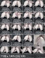 Onlyfans - Red Willow Clip 51 (2K/2208p/626 MB)